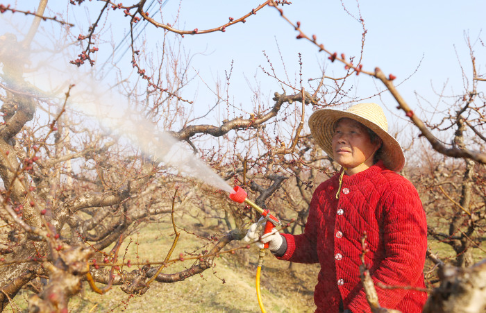 夏縣:春日田園農事忙-45154.jpg 夏縣:春日田園農事忙-45154.jpg